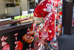 Japan_Sakura_2025 (58/79)